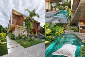 Làm hồ bơi 50m2 bao nhiêu tiền